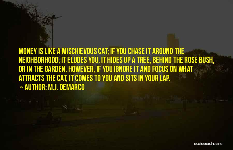 M.J. DeMarco Quotes: Money Is Like A Mischievous Cat; If You Chase It Around The Neighborhood, It Eludes You. It Hides Up A