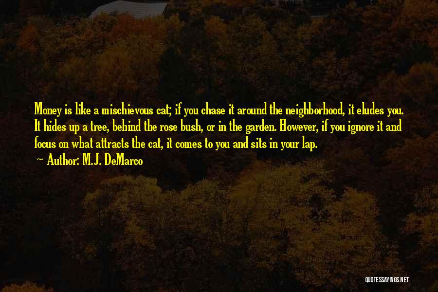 M.J. DeMarco Quotes: Money Is Like A Mischievous Cat; If You Chase It Around The Neighborhood, It Eludes You. It Hides Up A