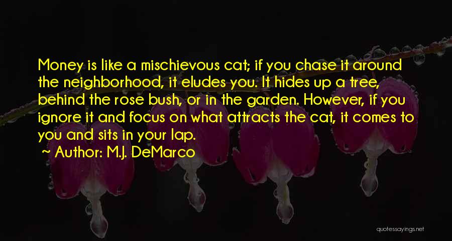 M.J. DeMarco Quotes: Money Is Like A Mischievous Cat; If You Chase It Around The Neighborhood, It Eludes You. It Hides Up A