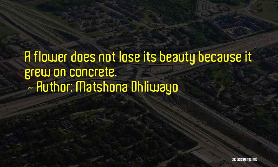 Matshona Dhliwayo Quotes: A Flower Does Not Lose Its Beauty Because It Grew On Concrete.