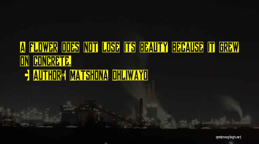 Matshona Dhliwayo Quotes: A Flower Does Not Lose Its Beauty Because It Grew On Concrete.