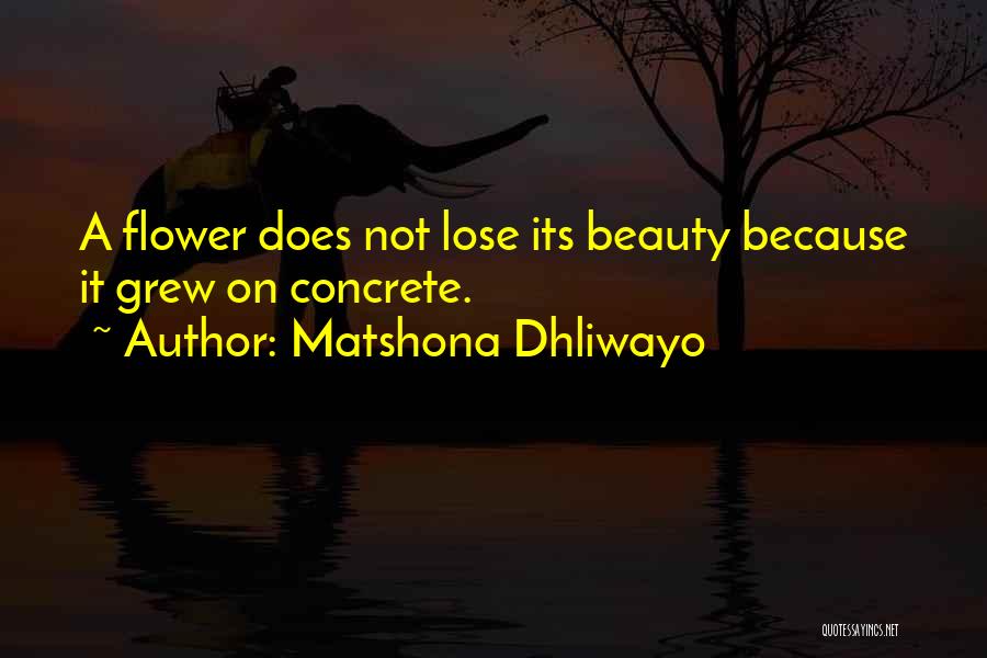 Matshona Dhliwayo Quotes: A Flower Does Not Lose Its Beauty Because It Grew On Concrete.