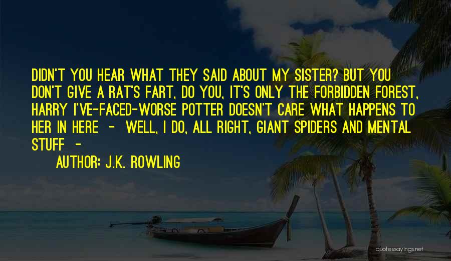 J.K. Rowling Quotes: Didn't You Hear What They Said About My Sister? But You Don't Give A Rat's Fart, Do You, It's Only