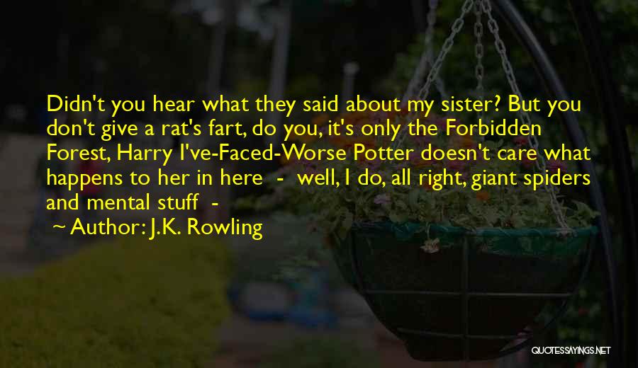 J.K. Rowling Quotes: Didn't You Hear What They Said About My Sister? But You Don't Give A Rat's Fart, Do You, It's Only