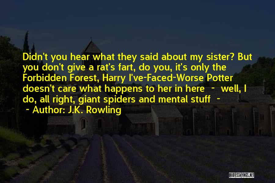 J.K. Rowling Quotes: Didn't You Hear What They Said About My Sister? But You Don't Give A Rat's Fart, Do You, It's Only