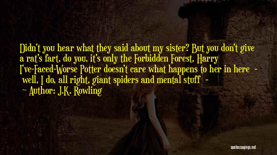 J.K. Rowling Quotes: Didn't You Hear What They Said About My Sister? But You Don't Give A Rat's Fart, Do You, It's Only