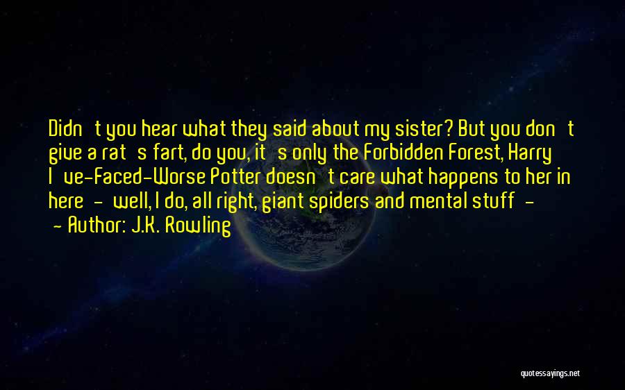 J.K. Rowling Quotes: Didn't You Hear What They Said About My Sister? But You Don't Give A Rat's Fart, Do You, It's Only