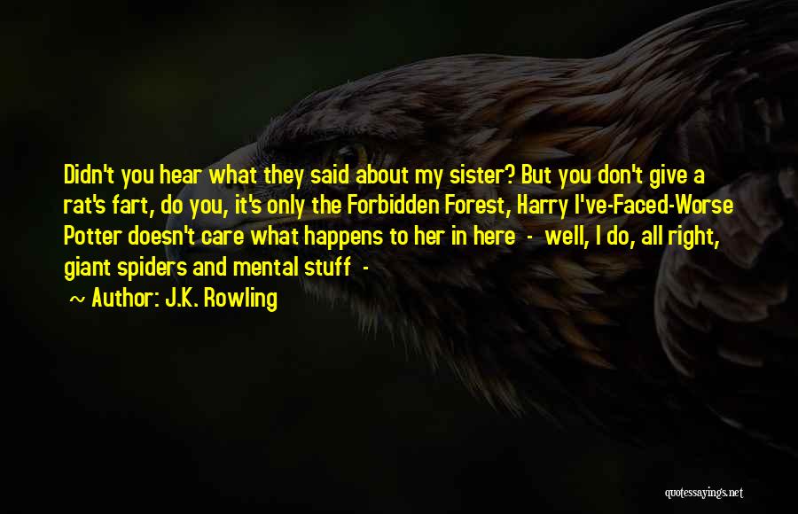 J.K. Rowling Quotes: Didn't You Hear What They Said About My Sister? But You Don't Give A Rat's Fart, Do You, It's Only