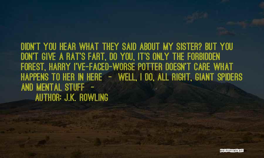 J.K. Rowling Quotes: Didn't You Hear What They Said About My Sister? But You Don't Give A Rat's Fart, Do You, It's Only