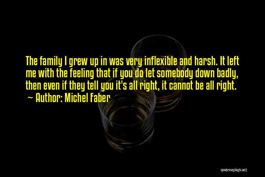 Michel Faber Quotes: The Family I Grew Up In Was Very Inflexible And Harsh. It Left Me With The Feeling That If You