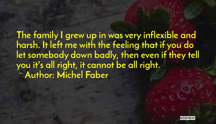 Michel Faber Quotes: The Family I Grew Up In Was Very Inflexible And Harsh. It Left Me With The Feeling That If You