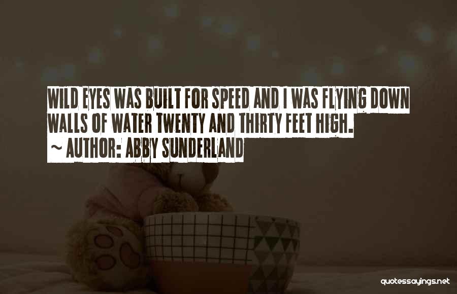 Abby Sunderland Quotes: Wild Eyes Was Built For Speed And I Was Flying Down Walls Of Water Twenty And Thirty Feet High.