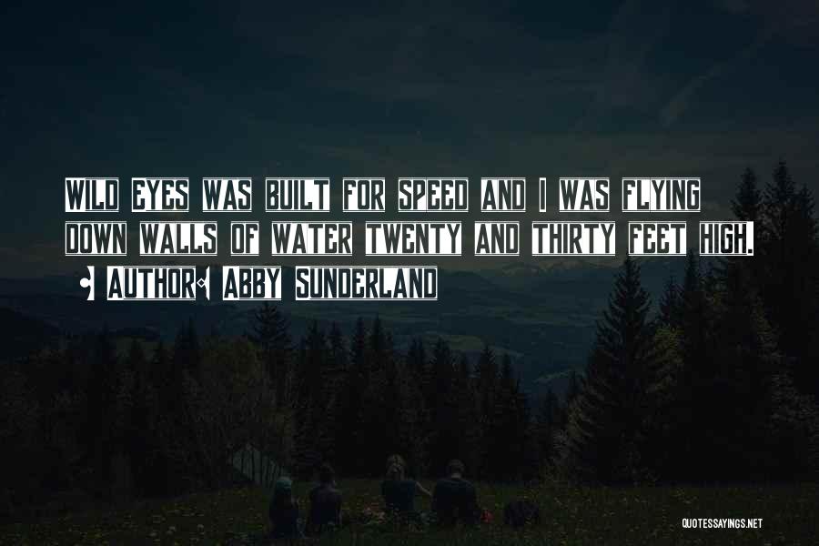 Abby Sunderland Quotes: Wild Eyes Was Built For Speed And I Was Flying Down Walls Of Water Twenty And Thirty Feet High.