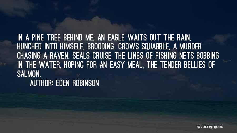 Eden Robinson Quotes: In A Pine Tree Behind Me, An Eagle Waits Out The Rain, Hunched Into Himself, Brooding. Crows Squabble, A Murder