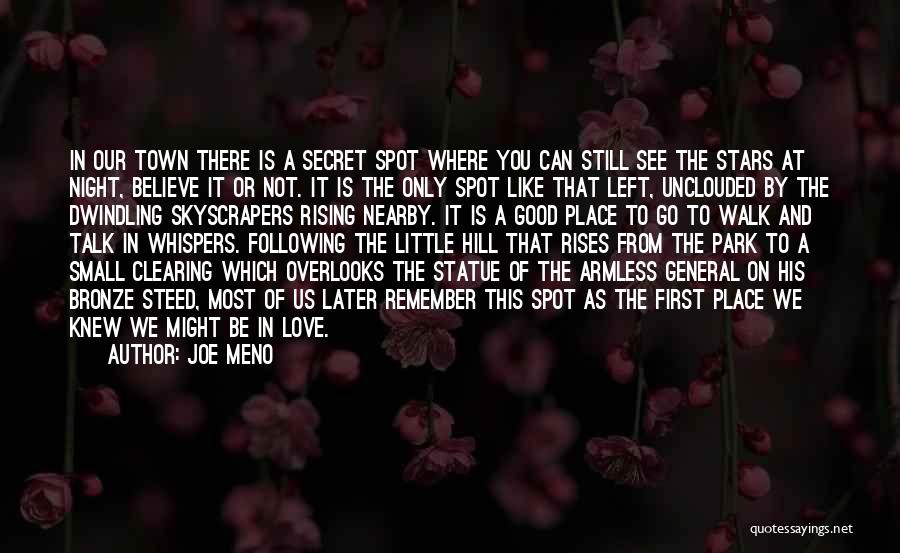 Joe Meno Quotes: In Our Town There Is A Secret Spot Where You Can Still See The Stars At Night, Believe It Or