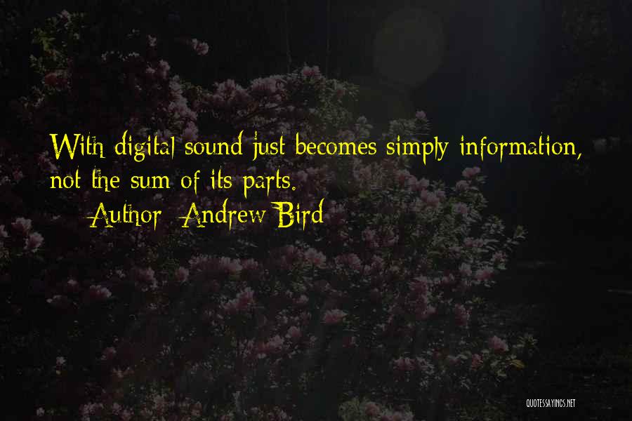 Andrew Bird Quotes: With Digital Sound Just Becomes Simply Information, Not The Sum Of Its Parts.