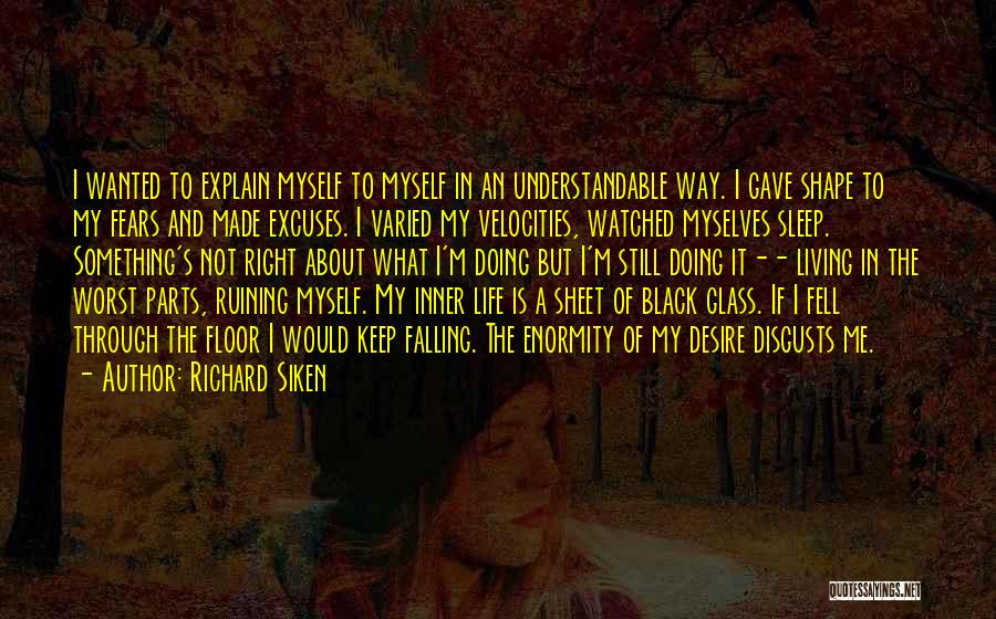 Richard Siken Quotes: I Wanted To Explain Myself To Myself In An Understandable Way. I Gave Shape To My Fears And Made Excuses.