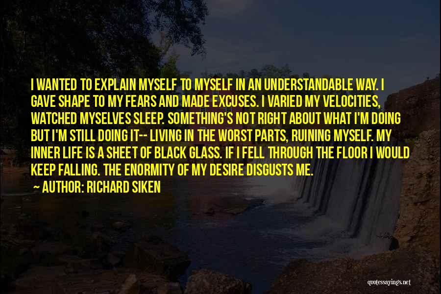Richard Siken Quotes: I Wanted To Explain Myself To Myself In An Understandable Way. I Gave Shape To My Fears And Made Excuses.