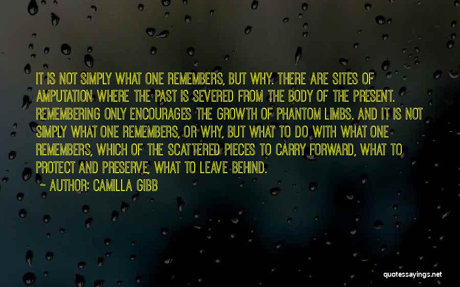 Camilla Gibb Quotes: It Is Not Simply What One Remembers, But Why. There Are Sites Of Amputation Where The Past Is Severed From