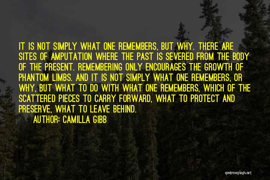 Camilla Gibb Quotes: It Is Not Simply What One Remembers, But Why. There Are Sites Of Amputation Where The Past Is Severed From