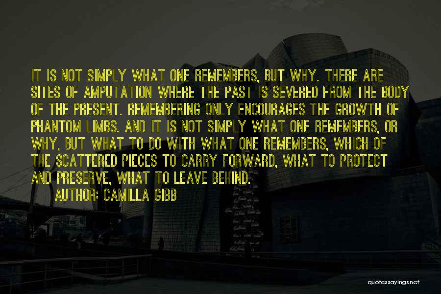 Camilla Gibb Quotes: It Is Not Simply What One Remembers, But Why. There Are Sites Of Amputation Where The Past Is Severed From