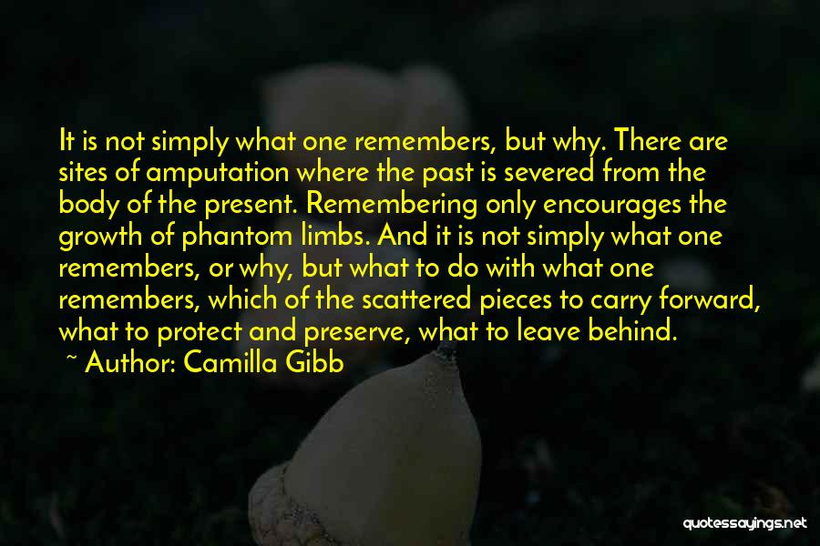 Camilla Gibb Quotes: It Is Not Simply What One Remembers, But Why. There Are Sites Of Amputation Where The Past Is Severed From