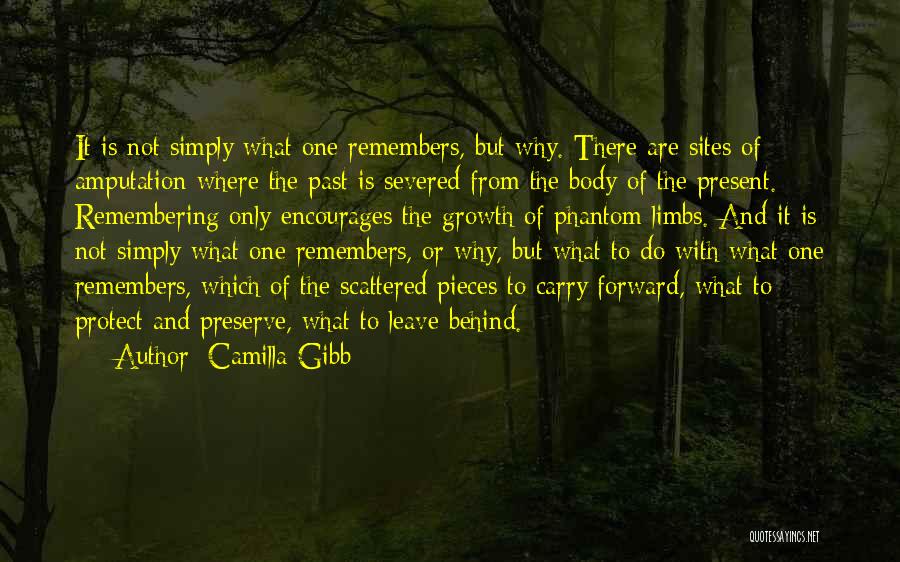 Camilla Gibb Quotes: It Is Not Simply What One Remembers, But Why. There Are Sites Of Amputation Where The Past Is Severed From
