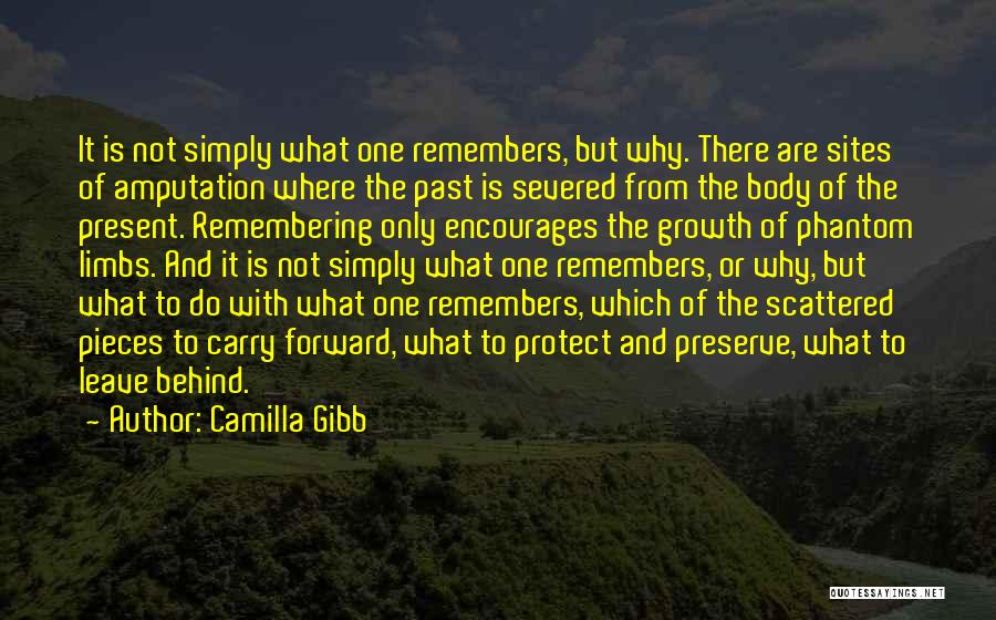 Camilla Gibb Quotes: It Is Not Simply What One Remembers, But Why. There Are Sites Of Amputation Where The Past Is Severed From