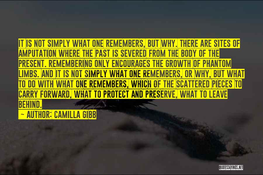 Camilla Gibb Quotes: It Is Not Simply What One Remembers, But Why. There Are Sites Of Amputation Where The Past Is Severed From