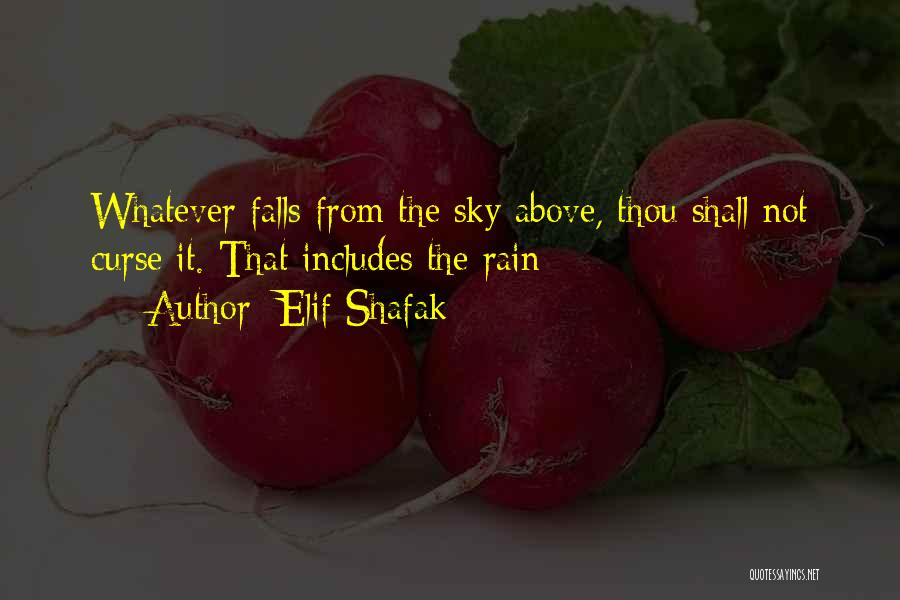 Elif Shafak Quotes: Whatever Falls From The Sky Above, Thou Shall Not Curse It. That Includes The Rain