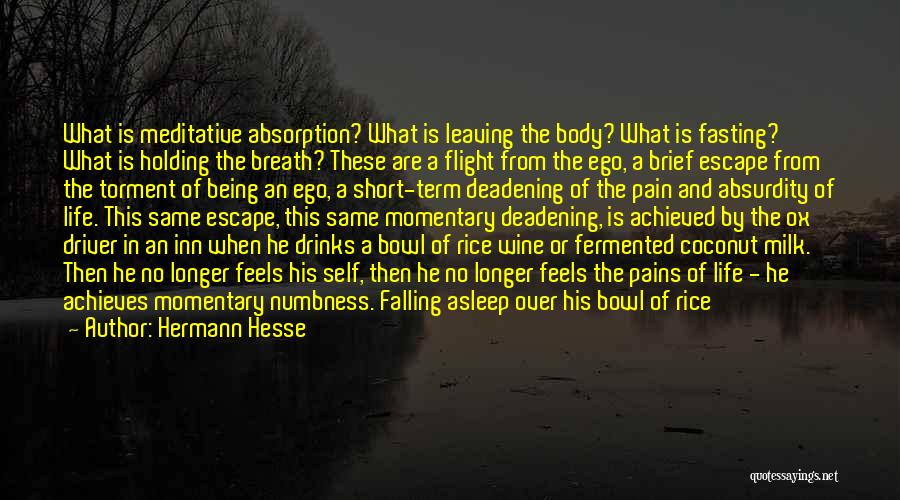 Hermann Hesse Quotes: What Is Meditative Absorption? What Is Leaving The Body? What Is Fasting? What Is Holding The Breath? These Are A