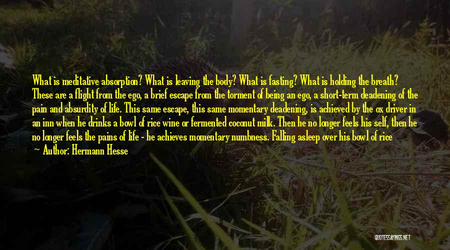 Hermann Hesse Quotes: What Is Meditative Absorption? What Is Leaving The Body? What Is Fasting? What Is Holding The Breath? These Are A