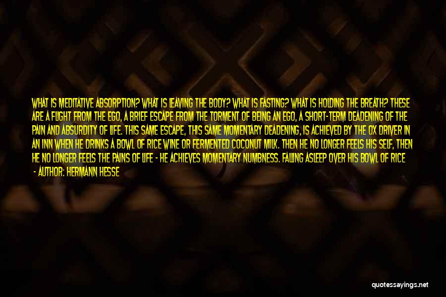 Hermann Hesse Quotes: What Is Meditative Absorption? What Is Leaving The Body? What Is Fasting? What Is Holding The Breath? These Are A