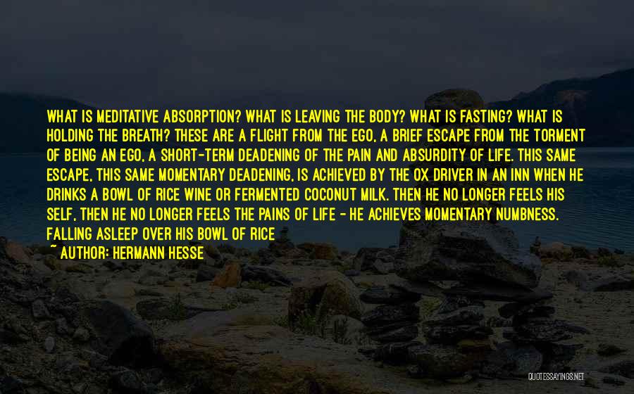Hermann Hesse Quotes: What Is Meditative Absorption? What Is Leaving The Body? What Is Fasting? What Is Holding The Breath? These Are A