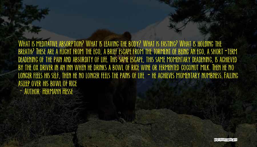 Hermann Hesse Quotes: What Is Meditative Absorption? What Is Leaving The Body? What Is Fasting? What Is Holding The Breath? These Are A