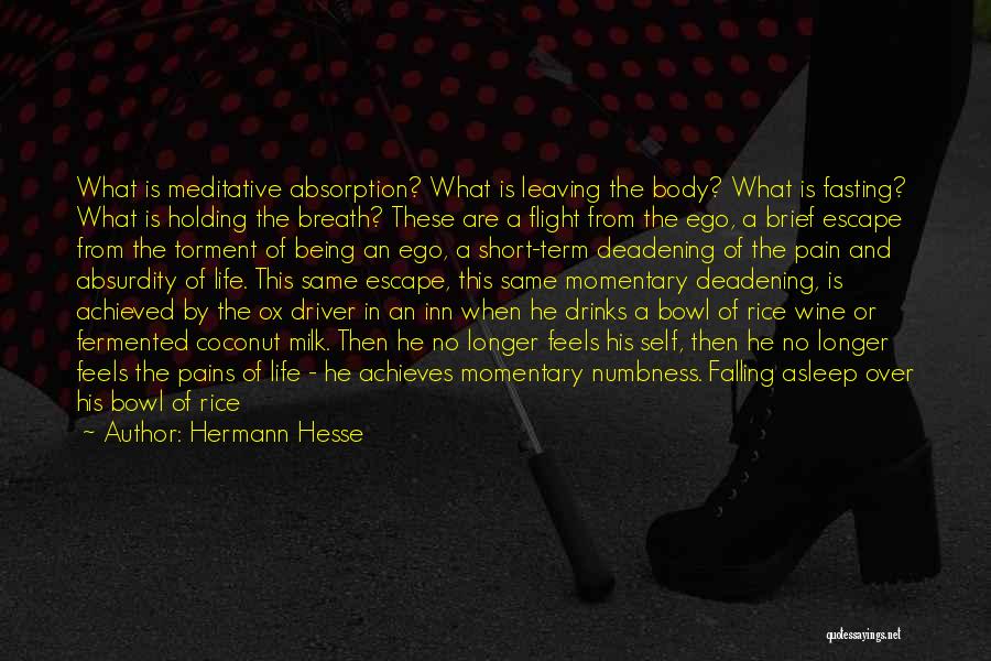 Hermann Hesse Quotes: What Is Meditative Absorption? What Is Leaving The Body? What Is Fasting? What Is Holding The Breath? These Are A