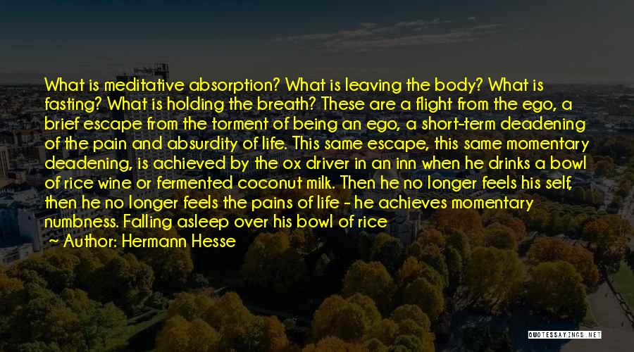 Hermann Hesse Quotes: What Is Meditative Absorption? What Is Leaving The Body? What Is Fasting? What Is Holding The Breath? These Are A