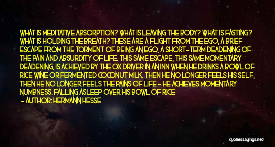 Hermann Hesse Quotes: What Is Meditative Absorption? What Is Leaving The Body? What Is Fasting? What Is Holding The Breath? These Are A