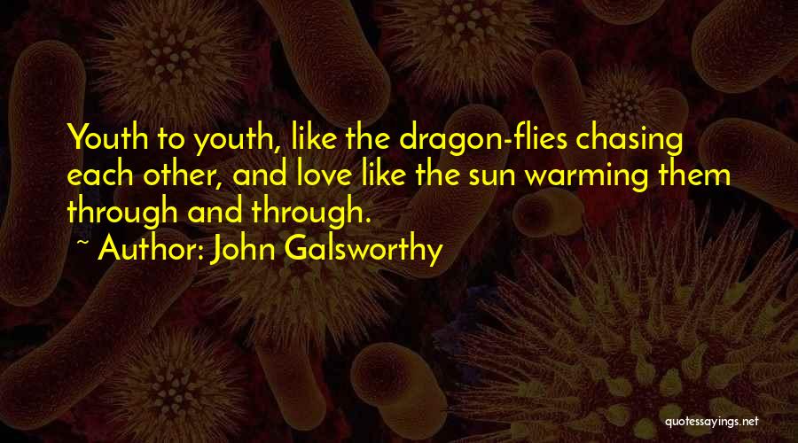 John Galsworthy Quotes: Youth To Youth, Like The Dragon-flies Chasing Each Other, And Love Like The Sun Warming Them Through And Through.