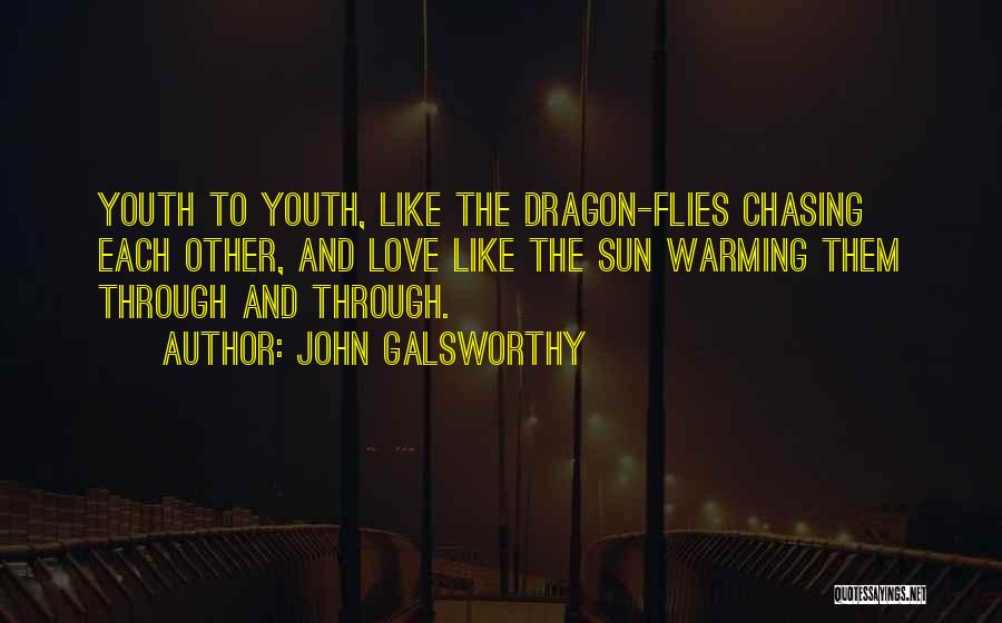 John Galsworthy Quotes: Youth To Youth, Like The Dragon-flies Chasing Each Other, And Love Like The Sun Warming Them Through And Through.