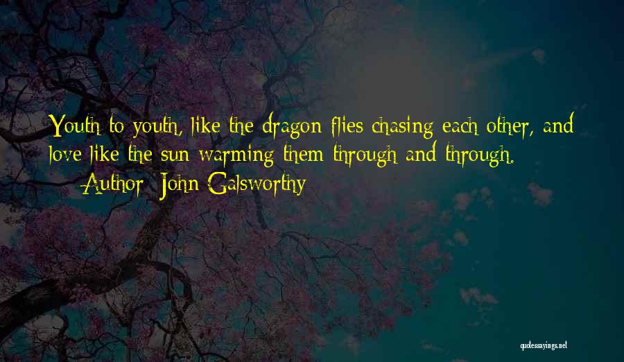 John Galsworthy Quotes: Youth To Youth, Like The Dragon-flies Chasing Each Other, And Love Like The Sun Warming Them Through And Through.