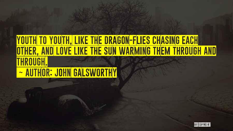 John Galsworthy Quotes: Youth To Youth, Like The Dragon-flies Chasing Each Other, And Love Like The Sun Warming Them Through And Through.