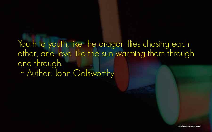 John Galsworthy Quotes: Youth To Youth, Like The Dragon-flies Chasing Each Other, And Love Like The Sun Warming Them Through And Through.