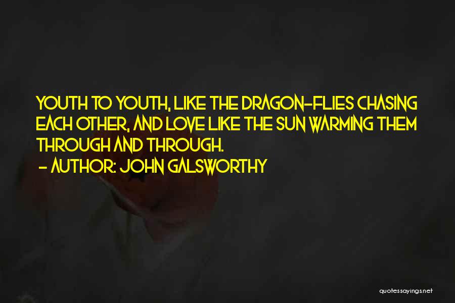 John Galsworthy Quotes: Youth To Youth, Like The Dragon-flies Chasing Each Other, And Love Like The Sun Warming Them Through And Through.