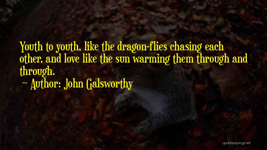 John Galsworthy Quotes: Youth To Youth, Like The Dragon-flies Chasing Each Other, And Love Like The Sun Warming Them Through And Through.