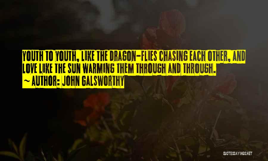 John Galsworthy Quotes: Youth To Youth, Like The Dragon-flies Chasing Each Other, And Love Like The Sun Warming Them Through And Through.