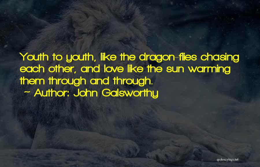 John Galsworthy Quotes: Youth To Youth, Like The Dragon-flies Chasing Each Other, And Love Like The Sun Warming Them Through And Through.