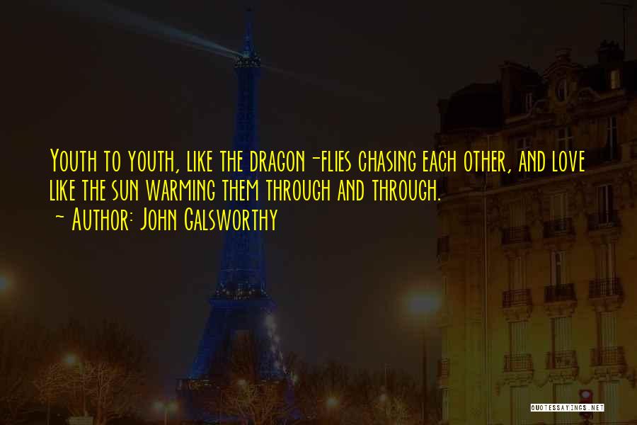 John Galsworthy Quotes: Youth To Youth, Like The Dragon-flies Chasing Each Other, And Love Like The Sun Warming Them Through And Through.