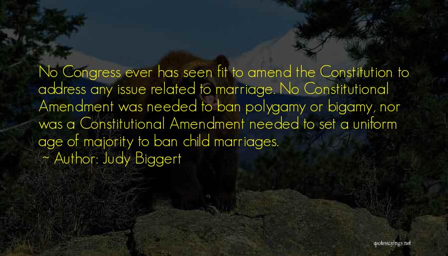 Judy Biggert Quotes: No Congress Ever Has Seen Fit To Amend The Constitution To Address Any Issue Related To Marriage. No Constitutional Amendment
