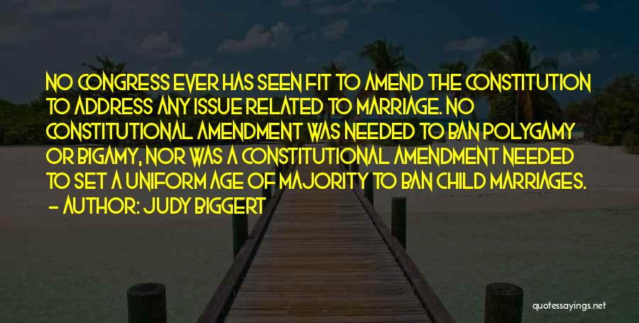 Judy Biggert Quotes: No Congress Ever Has Seen Fit To Amend The Constitution To Address Any Issue Related To Marriage. No Constitutional Amendment